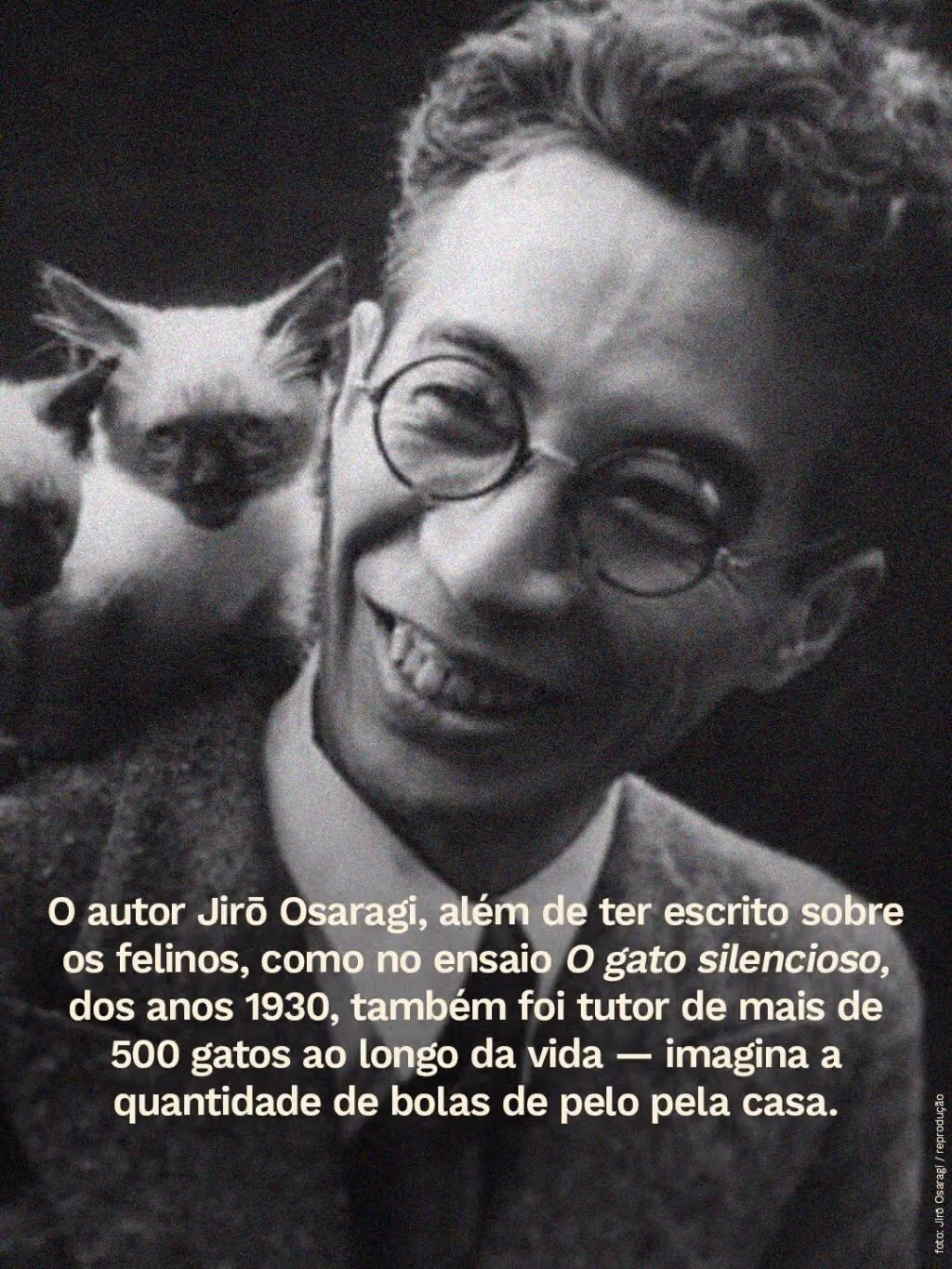 O autor Jirō Osaragi, além de ter escrito sobre os felinos, como no ensaio O gato silencioso, dos anos 1930, também foi tutor de mais de 500 gatos ao longo da vida — imagina a quantidade de bolas de pelo pela casa.
