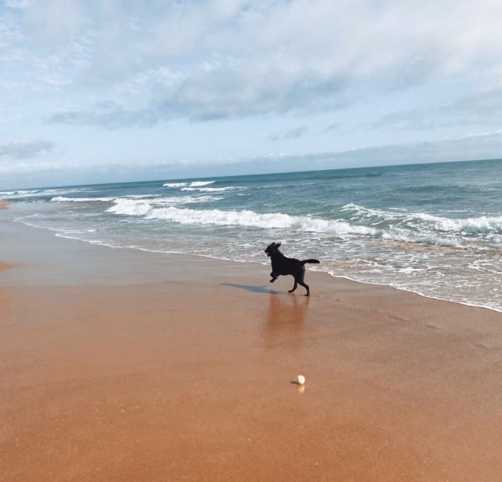 Praia no inverno