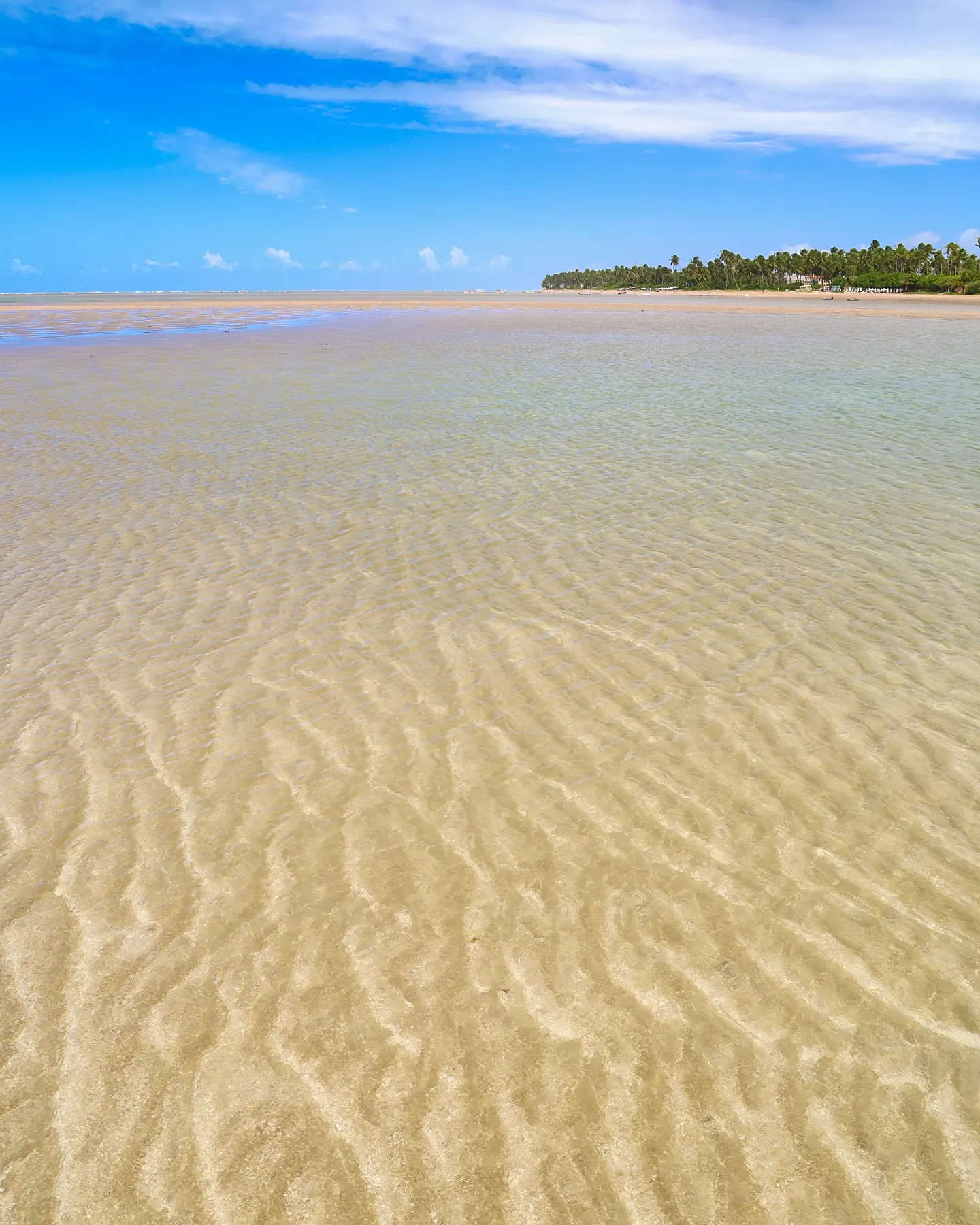 Praia do Patacho