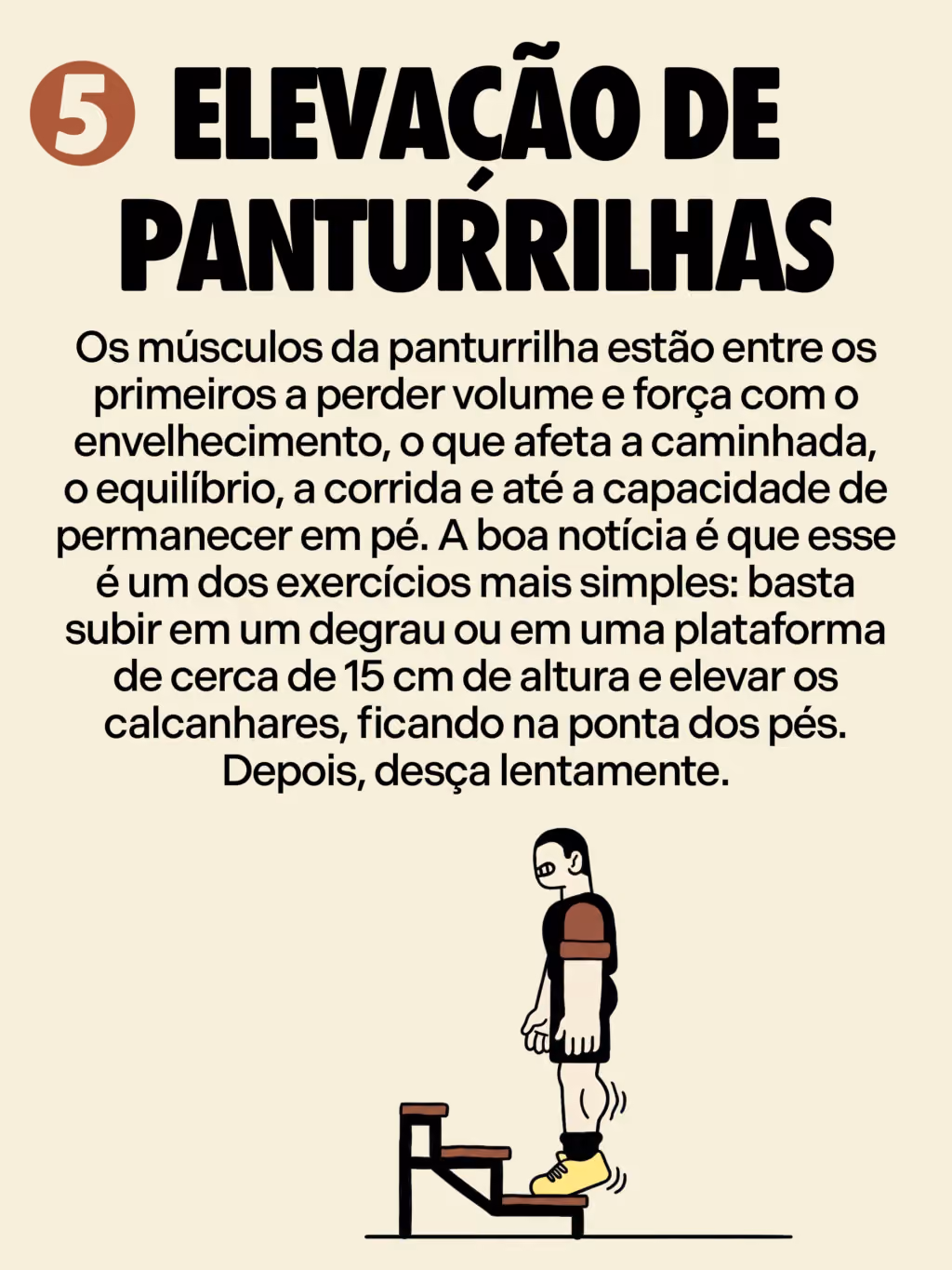 Elevação de panturrilhas
Os músculos da panturrilha estão entre os primeiros a perder volume e força com o envelhecimento, o que afeta a caminhada, o equilíbrio, a corrida e até a capacidade de permanecer em pé. A boa notícia é que esse é um dos exercícios mais simples: basta subir em um degrau ou em uma plataforma de cerca de 15 cm de altura e elevar os calcanhares, ficando na ponta dos pés. Depois, desça lentamente.