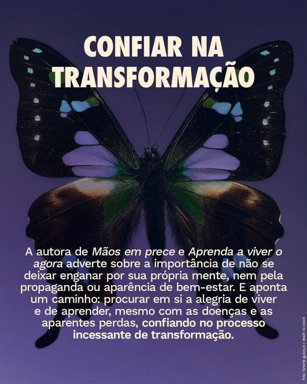 Confiar na transformação
A autora de Mãos em prece e Aprenda a viver o agora adverte sobre a importância de não se deixar enganar por sua própria mente, nem pela propaganda ou aparência de bem-estar. E aponta um caminho: procurar em si a alegria de viver e de aprender, mesmo com as doenças e as aparentes perdas, confiando no processo incessante de transformação.
