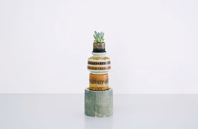 cactus_suculentas_norrebro_copenhagen_7