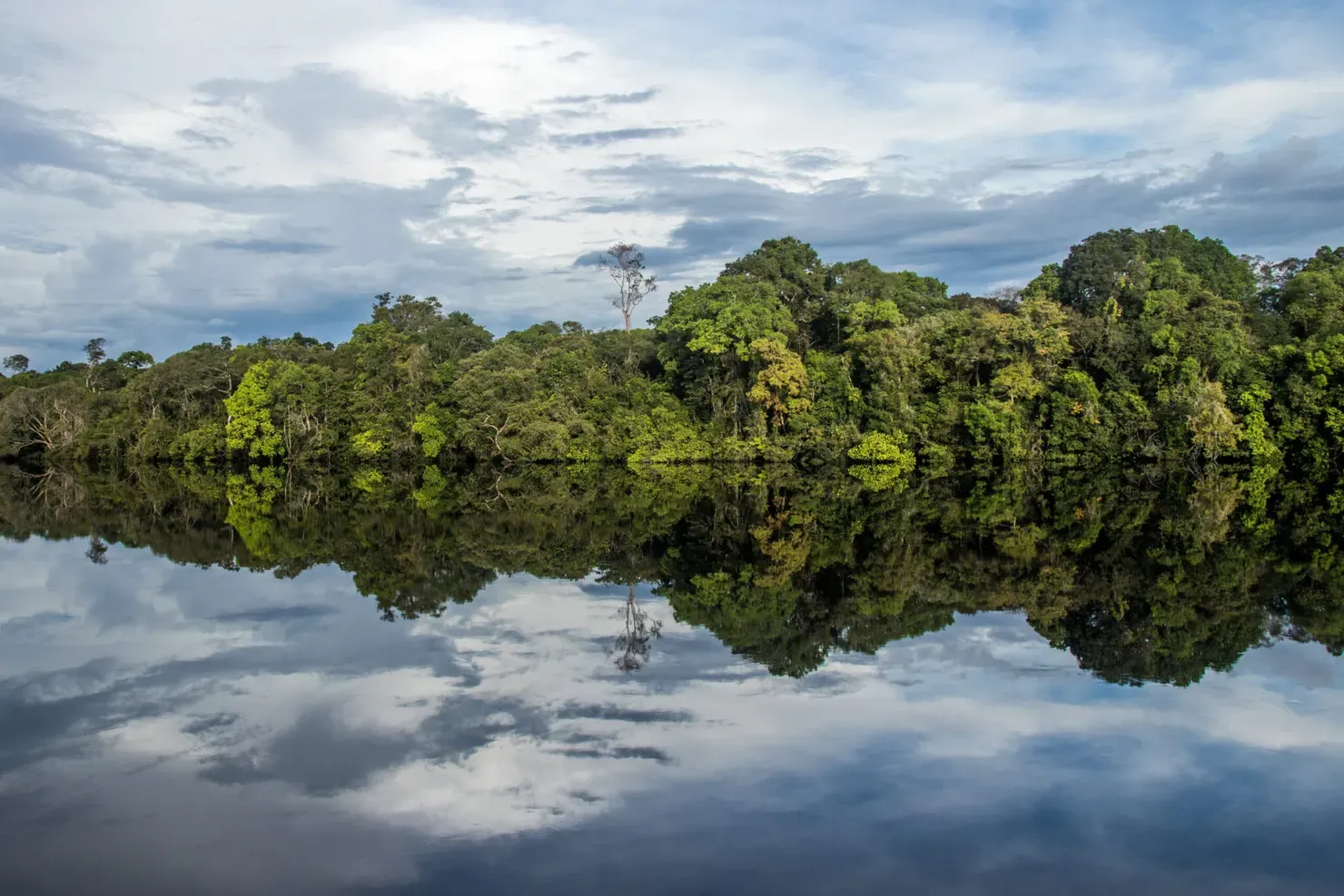 Novo Airão: a porta de entrada pra uma das regiões mais incríveis da Amazônia