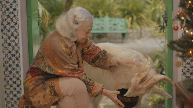 Por que amamos Fernanda Montenegro