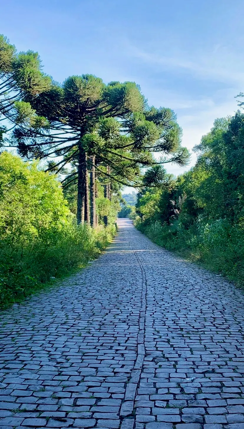 O Caminho de Santiago gaúcho