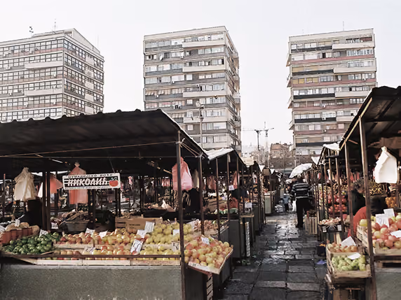 Kalenic-pijaca-mercado-the-summer-hunter