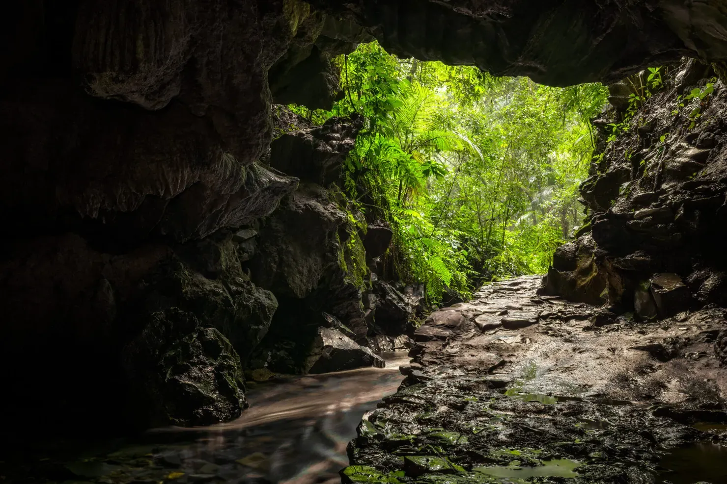 Petar: trilhas, cavernas e banhos de cachoeira no meio da Mata Atlântica
