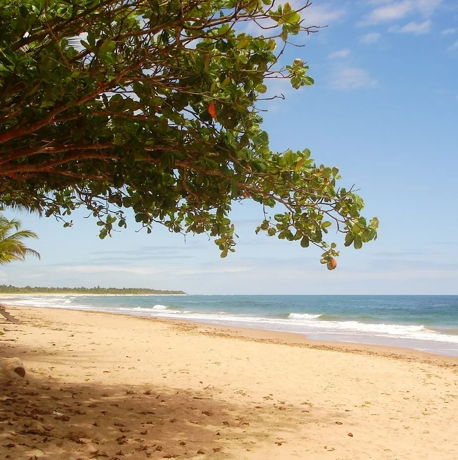 Praia de Algodões
