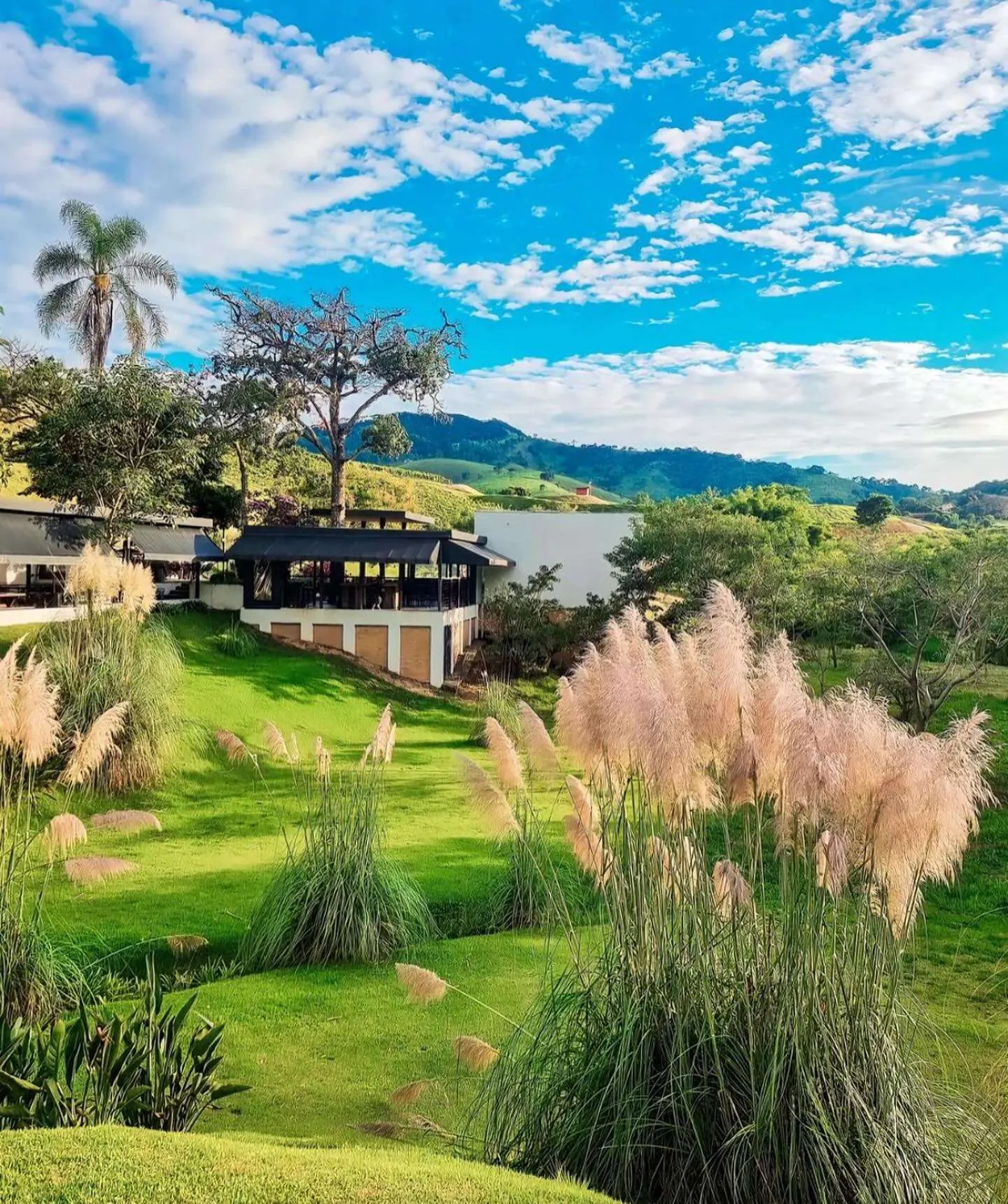 Vinícola Villa Santa Maria, em São Bento do Sapucaí