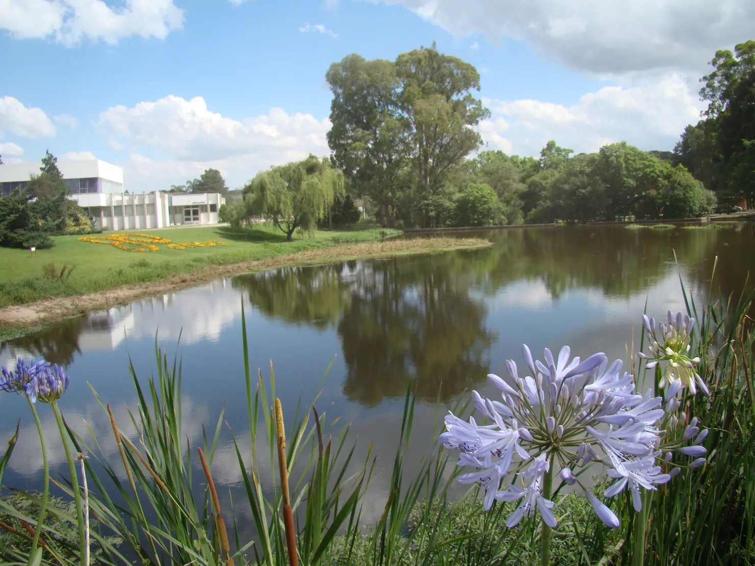 Lago, Colônia Witmarsum, Palmeira, Paraná