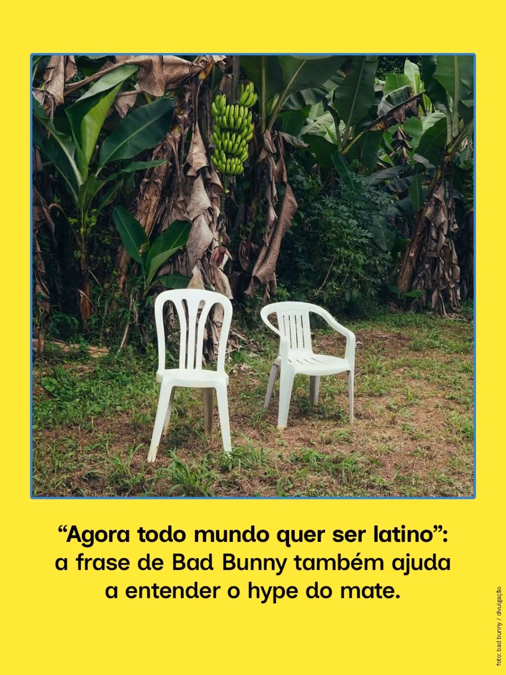 “Agora todo mundo quer ser latino”: a frase de Bad Bunny também ajuda a entender o hype do mate.