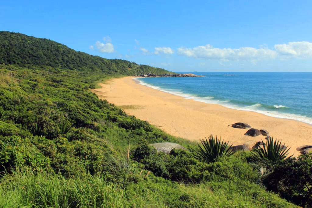 Praia de Taquarinhas, Balneário do Camburiú - Praia em Santa Catarina