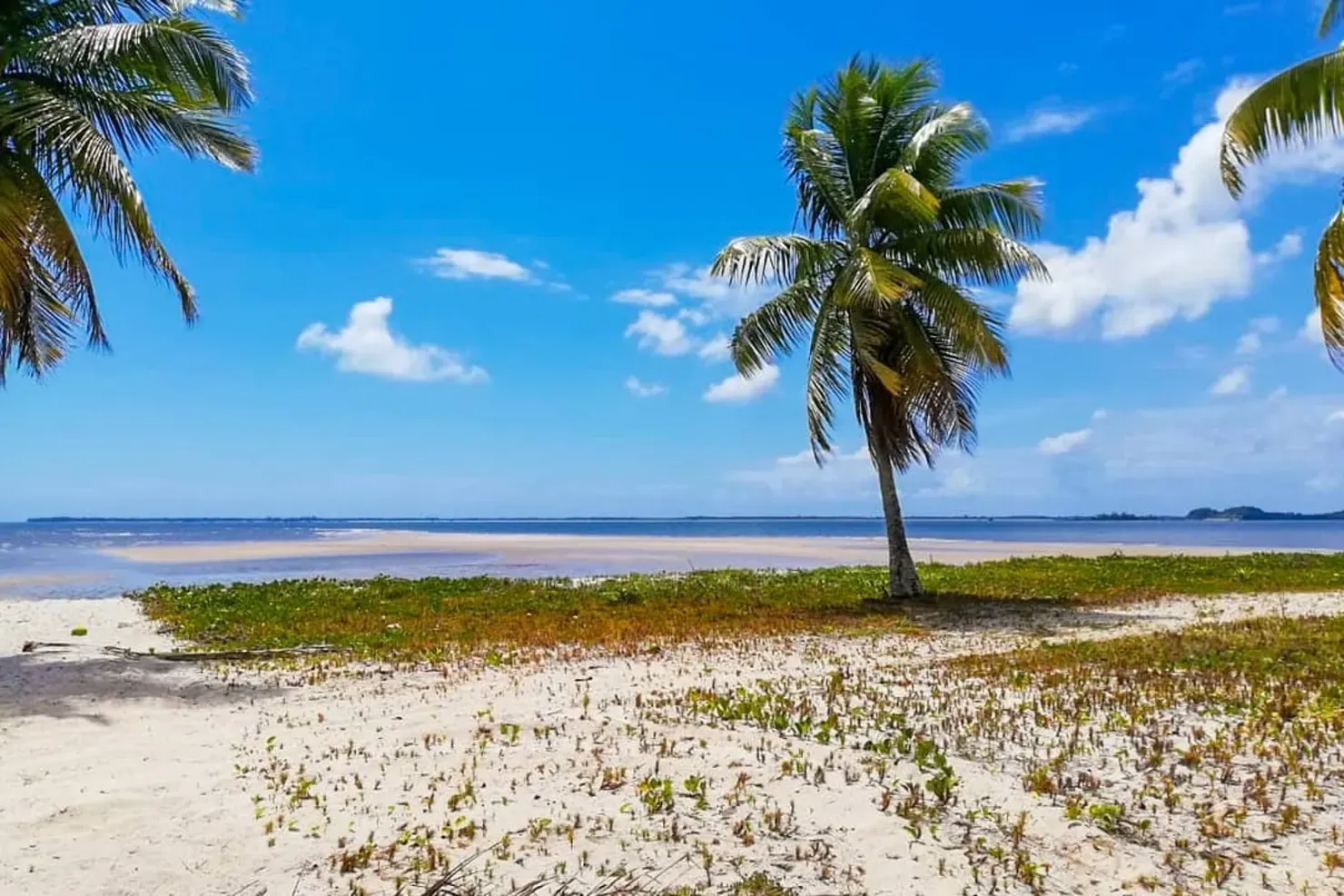 Ilha do Contrato: dicas de como aproveitar esse paraíso baiano