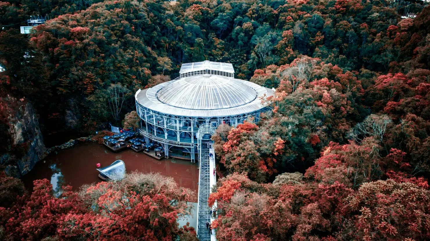 Curitiba: conheça a veia artística da capital paranaense
