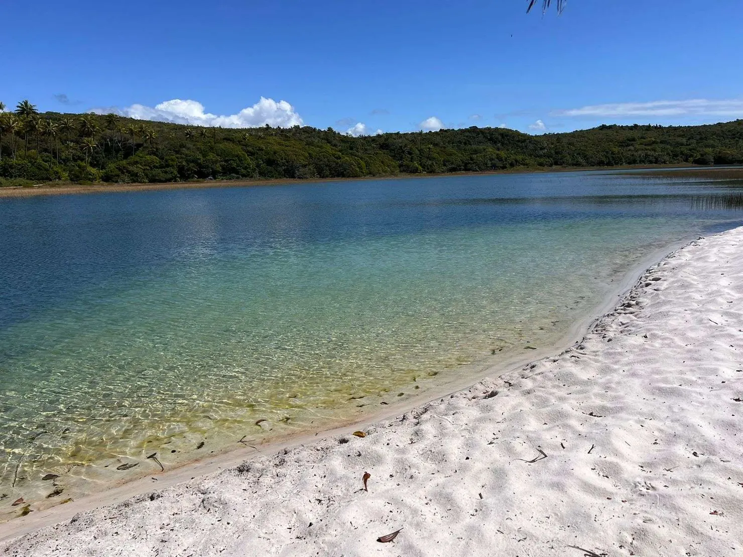 Lagoa Verde, Baixio, Bahia