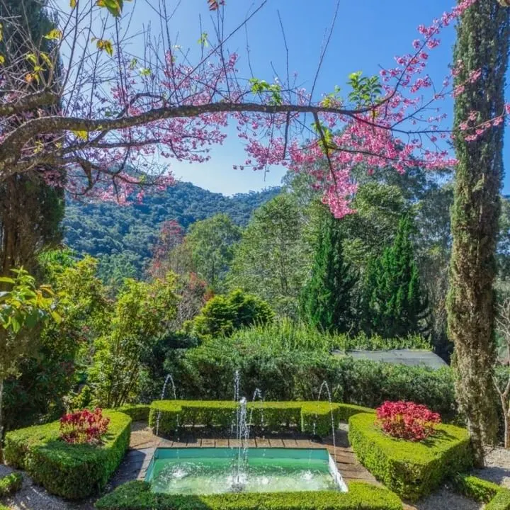 Jardim dos Pinhais, em Santo Antônio dos Pinhais