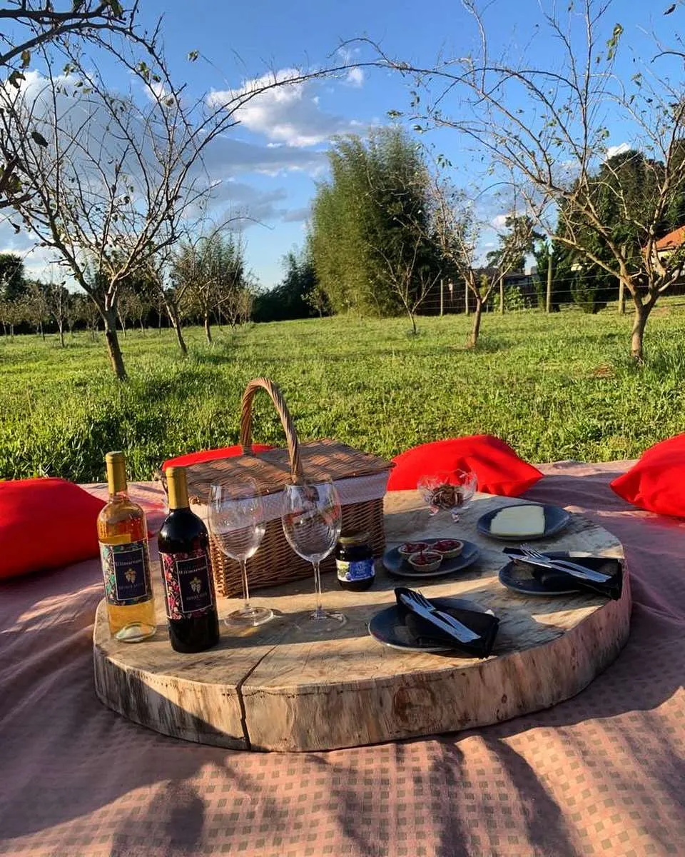 Vinícola Witmarsum, Colônia Witmarsum, Palmeira, Paraná