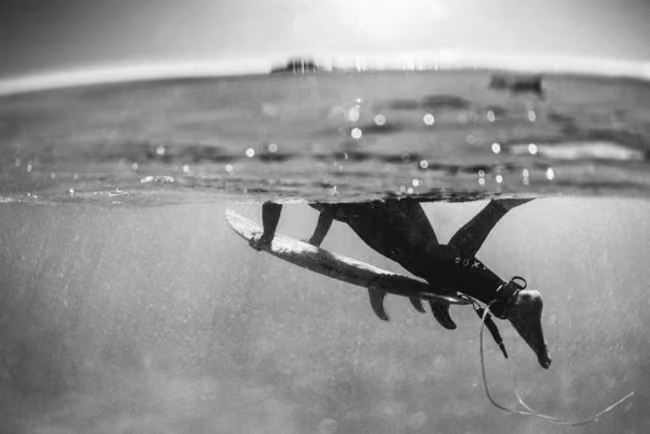 Corona_CaitMiers-2