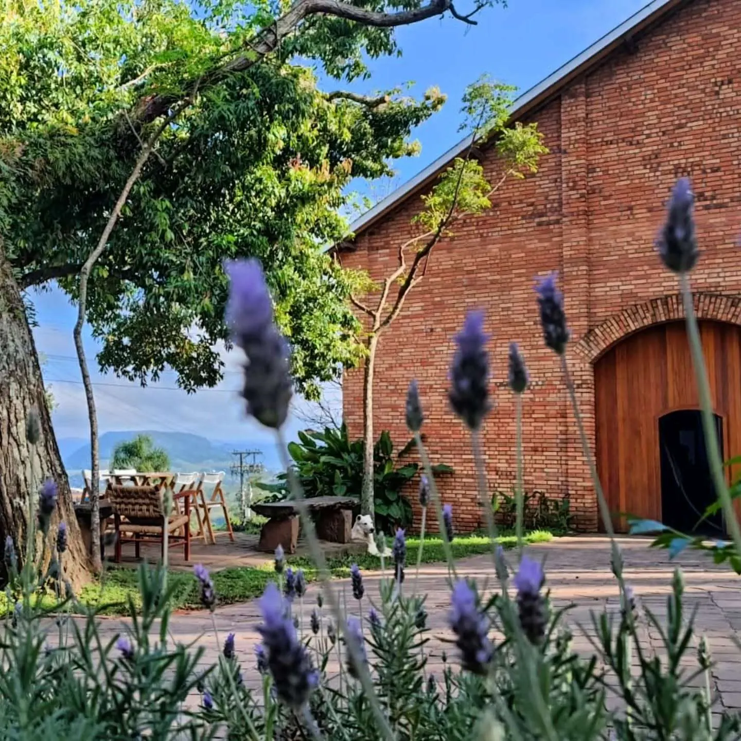 Cristofoli, Vale dos Vinhedos, Rio Grande do Sul