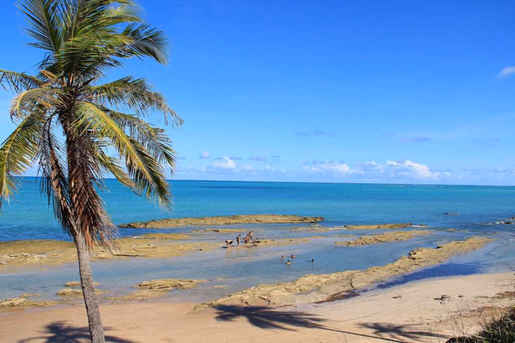 Jarapatinga, Alagoas